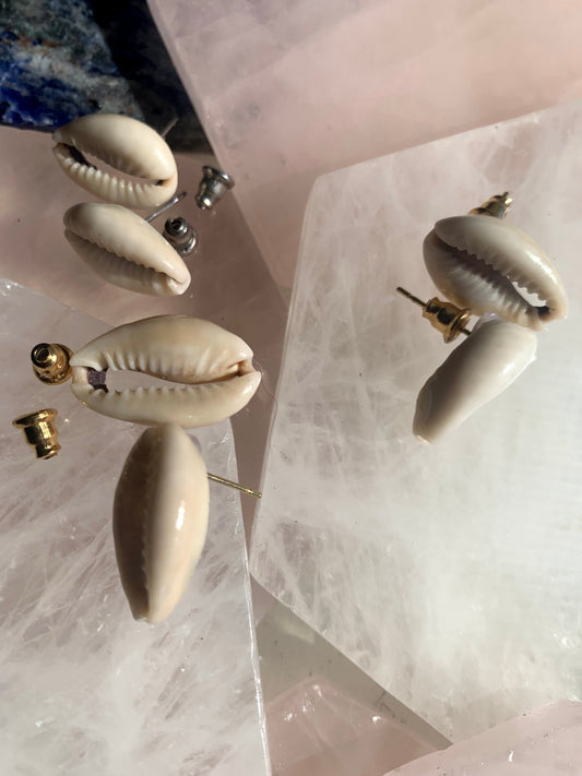 Cowrie Shell Earrings - DD COLLECTION